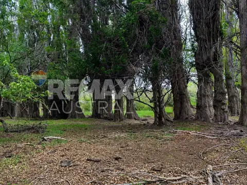 VENTA CAMPO.Lag Palacio.120km de Sarmiento 15000ha