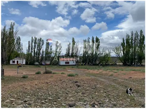 VENTA CAMPO.Lag Palacio.120km de Sarmiento 15000ha