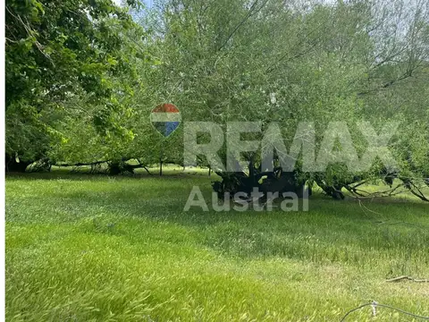 VENTA CAMPO.Lag Palacio.120km de Sarmiento 15000ha