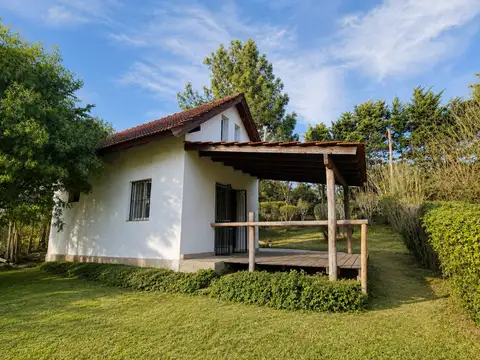 EL NARANJO 100