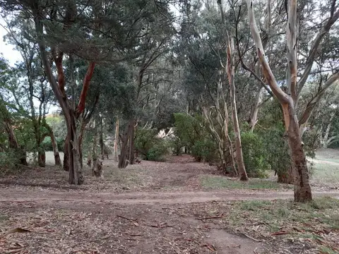 Avenida de las Fragatas y Mar de Tasmania