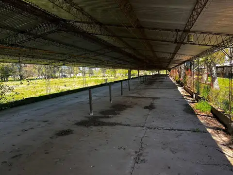 Terreno en Alquiler 150  mts Frente