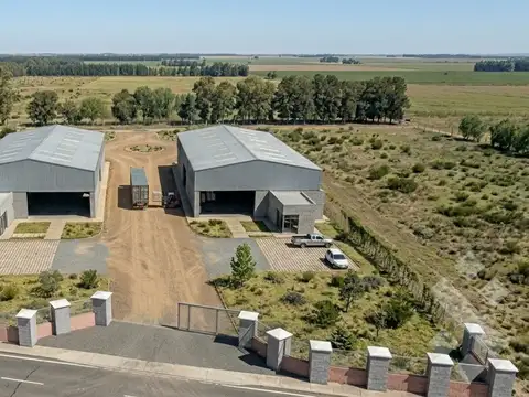 Base Industrial en VENTA sobre Ruta 22 | 1.000 m² Cubiertos + 1 Ha de Terreno | Fernandez Oro