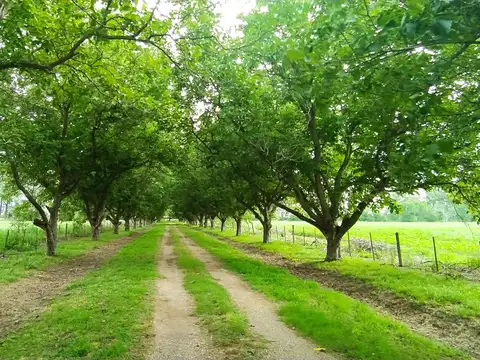 Panamericana KM 104 100