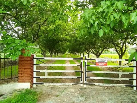 52Has Agricolas sobre Panamericana Km 104 Lima - Zárate