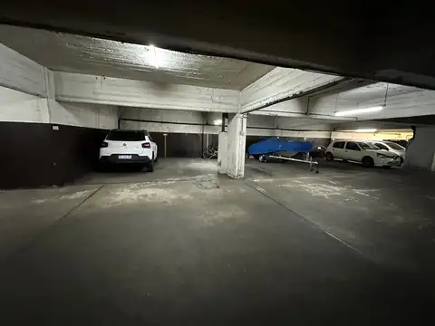 Pastor Obligado 100