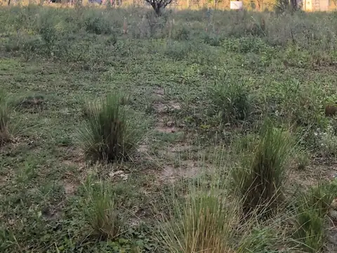 Terreno en Venta en Villa de las Rosas, USD 35.000
