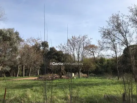 Terreno en Venta, FOT 0,2