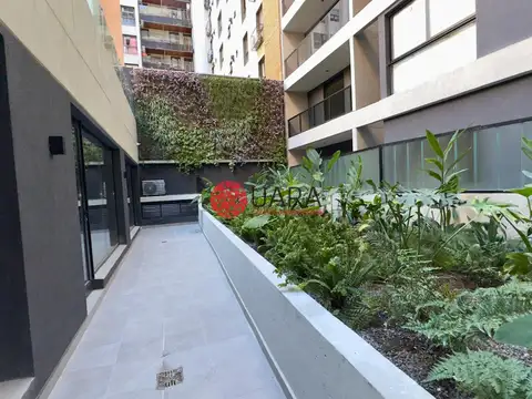 REGGIA 06