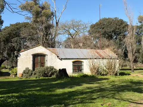 CHACRA EN VENTA – 4 HECTÁREAS ARBOLADAS – LOS CARDALES / PAVÓN