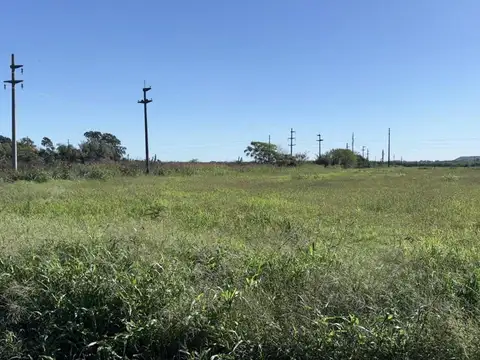 Campo en Venta de 3  ha