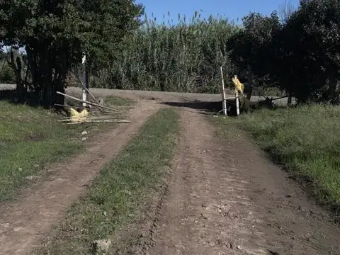 Campo en Venta de 3  ha