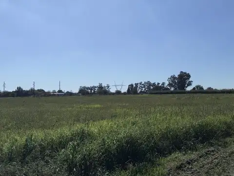 Campo en Venta Agrícola