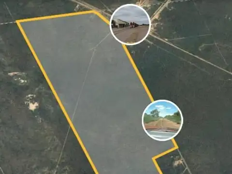 Campo Ganadero a Desarrollar