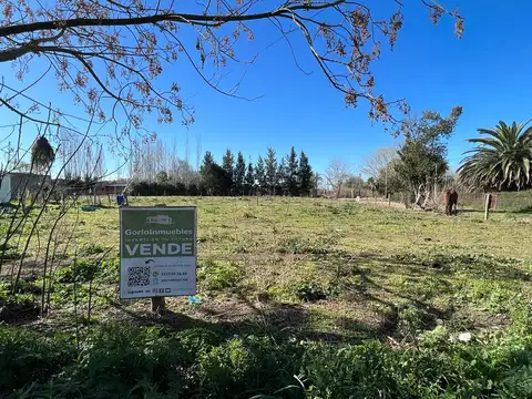 Lote Amplio – Salvador Maria