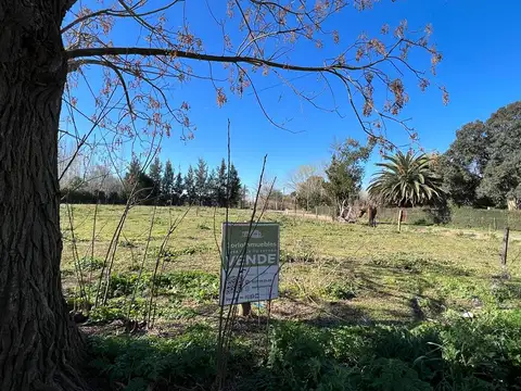 Terreno en Venta 25  mts Fondo