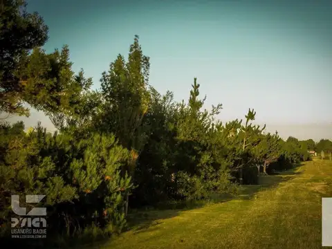 Terreno en Venta de 1008,0 m2
