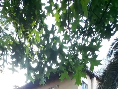 Viamonte 2500