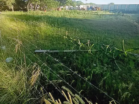 Avenida Pedro Zanni 3000