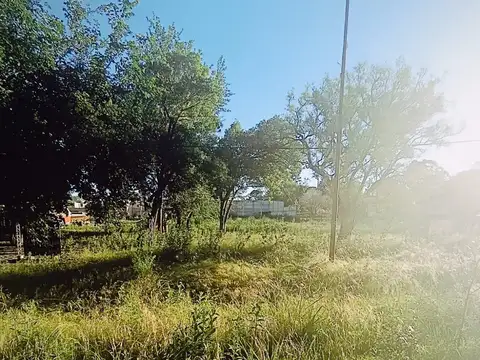 Avenida Pedro Zanni 3000