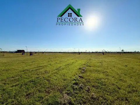 Terreno - Puertos del lago - Nativas - interno - Lote 349