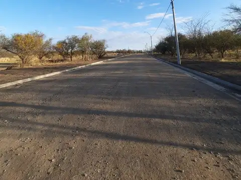 VENTA-LOTES-SINSACATE-LOS ALGARROBOS