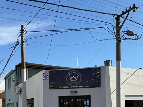 VENTA CASA CON LOCALES - TEODELINA