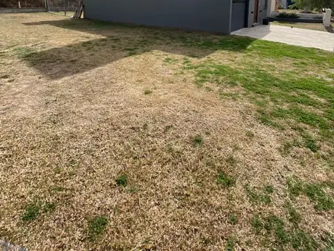 Terreno en Venta de 250,0 m2