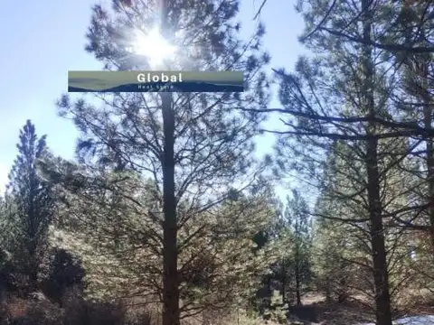 EXCELENTE PARCELA 2 Has COSTA RÍO QUILQUIHUE, SAN MARTÍN DE LOS ANDES PATAGONIA ARGENTINA