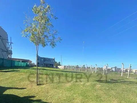 san pablo , Piso 0