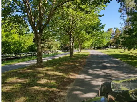 Ruta 6 La Colina Golf Y Polo