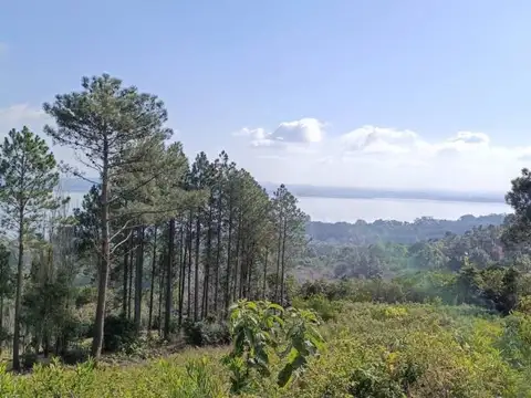 Terreno en Venta 30  mts Fondo