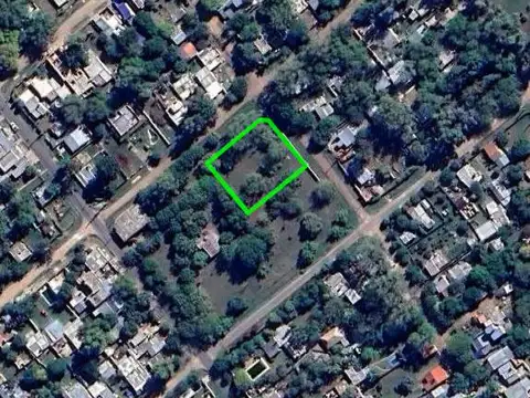 Ricardo Palma y Bosco