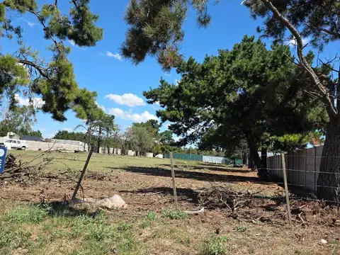 Trabajadores Municipales