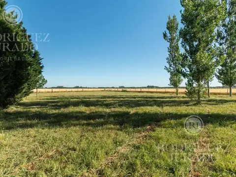 Fracción en venta de 12,7Ha San Antonio de Areco