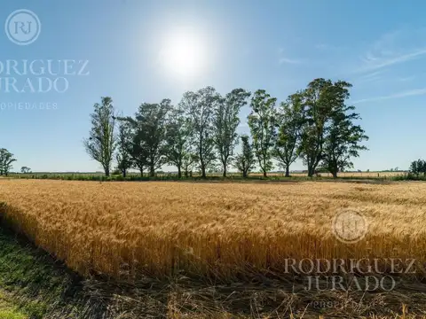 Fracción en venta de 12,7Ha San Antonio de Areco