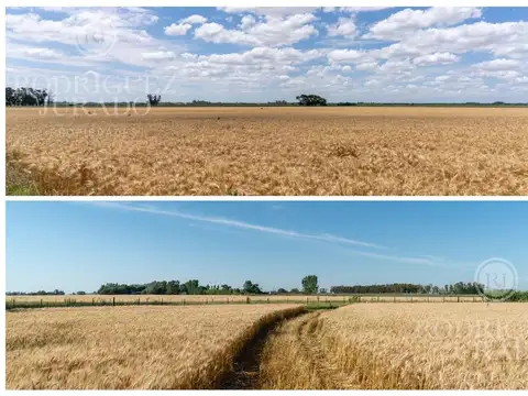 Fracción en venta de 12,7Ha San Antonio de Areco