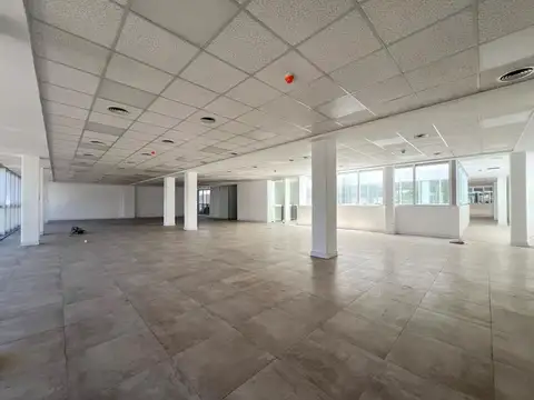 Oficina en Alquiler A Estrenar