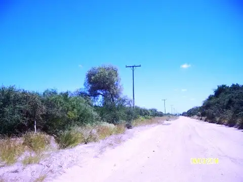 Excelente campo ganadero en alquiler, en la zona mas húmeda de San >Luis OPORTUNIDAD