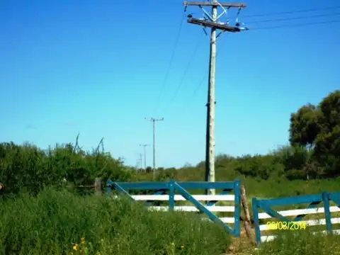 Campo en Alquiler de 350  ha
