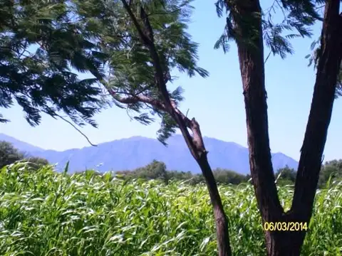 Excelente campo ganadero en alquiler, en la zona mas húmeda de San >Luis OPORTUNIDAD