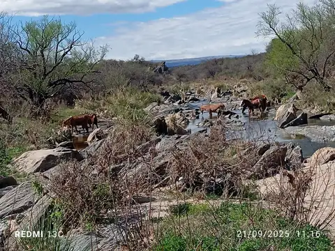 Venta ,Campo 178 HA en Salsacate ,Traslasierra