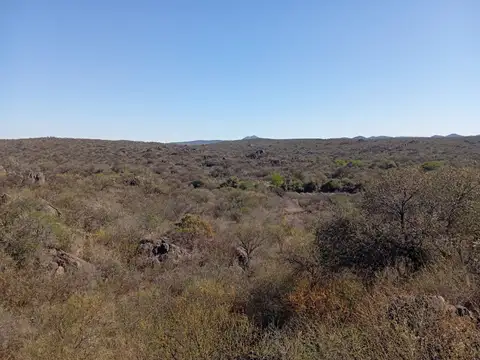 Venta ,Campo 178 HA en Salsacate ,Traslasierra