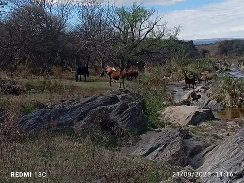 Venta ,Campo 178 HA en Salsacate ,Traslasierra
