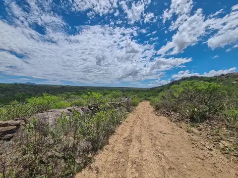 Venta ,Campo 178 HA en Salsacate ,Traslasierra