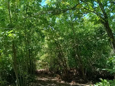 Terreno en Venta en Villa Rosa, USD 50.000