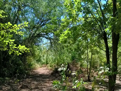 Muy Lindo Terreno en venta en Villa Rosa