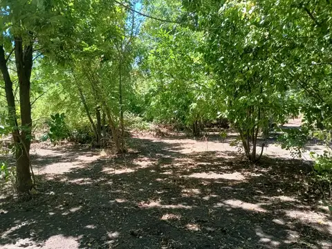 Terreno en Venta 67  mts Fondo