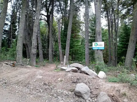 TERRENO EN VENTA EN VILLA TRAFUL CON ARBOLES AÑEJOS