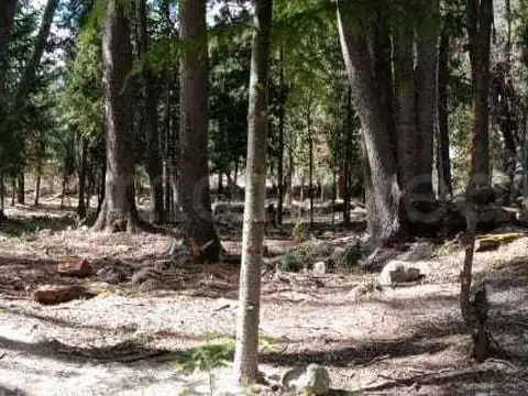 Terreno en Venta de 1505,0 m2